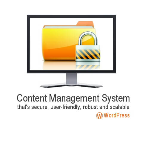 WordPress Content Management System that's secure, user-friendly, robust and scalable.